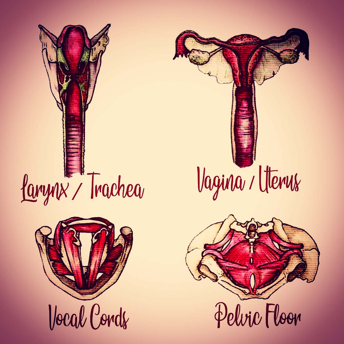 Voice & Vagina